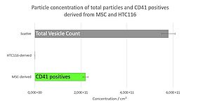 Particle concentration Particle concentration