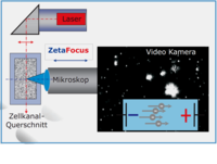 ZetaView® Layout ZetaView® Layout