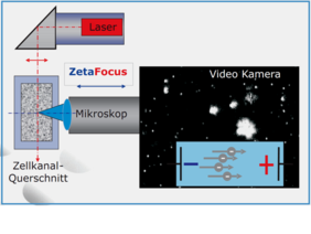 ZetaView® Layout ZetaView® Layout