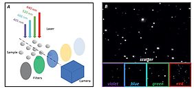 Measurement modes of ZetaView® QUATT