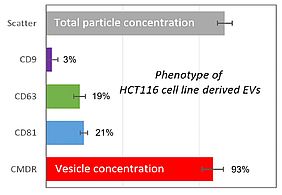 Examination of an extracellular vesicle preparation from the colon cancer cell line